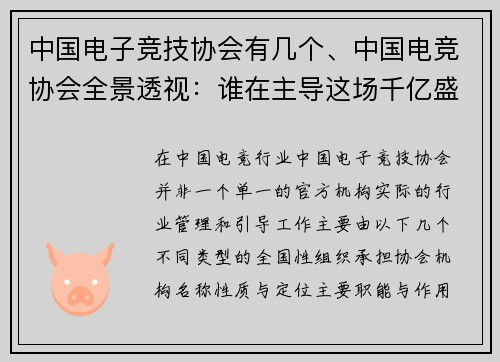 中国电子竞技协会有几个、中国电竞协会全景透视：谁在主导这场千亿盛宴？